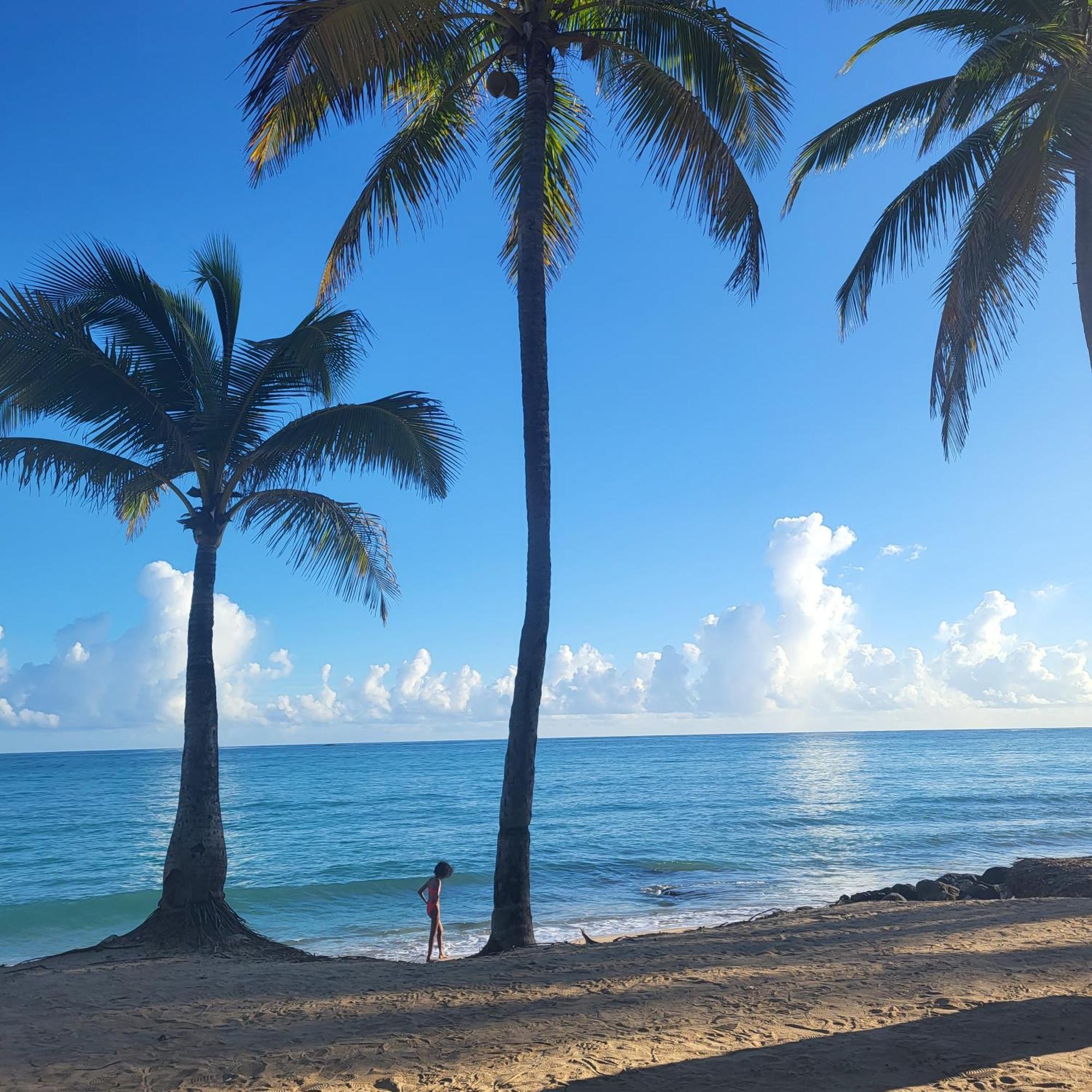 Cozybeach Large 1Bdrapt 50 Steps From Atlantic Ocean Private Street Between Ocean Park & Isla Verde 5 Mins From Airport Σαν Χουάν Εξωτερικό φωτογραφία