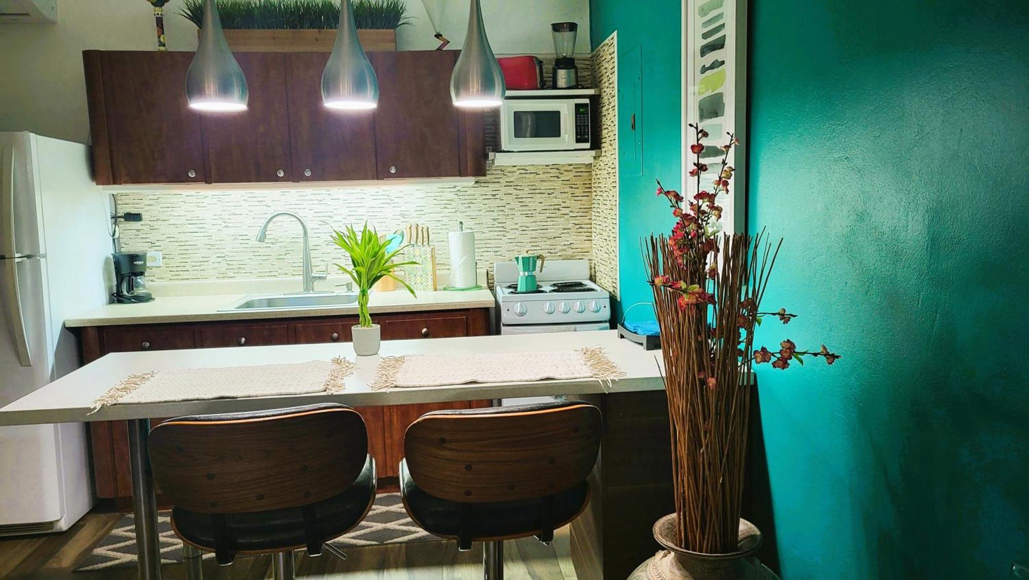 Cozybeach Large 1Bdrapt 50 Steps From Atlantic Ocean Private Street Between Ocean Park & Isla Verde 5 Mins From Airport Σαν Χουάν Εξωτερικό φωτογραφία